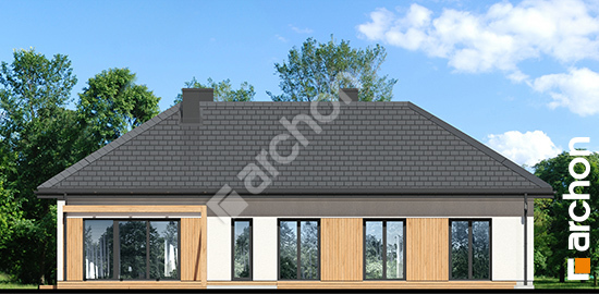 Дворовий фасад Будинок в базиліці 5