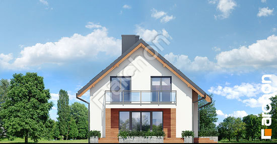 Бочний фасад Будинок в хлорофітумі 4