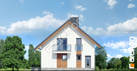 Боковой фасад Дом в хлорофитуме 4