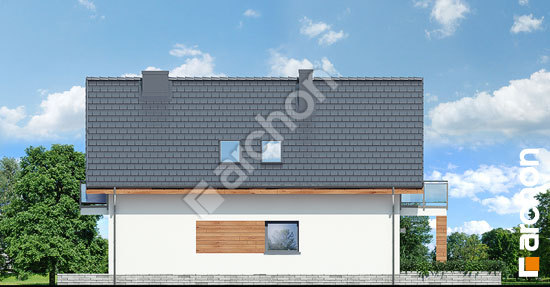 Дворовой фасад Дом в хлорофитуме 4