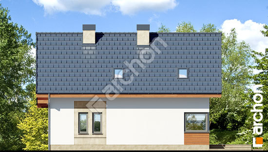 Дворовой фасад Дом в журавках 3 (Т)