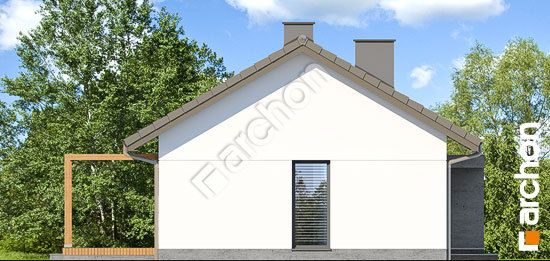 Бочний фасад Будинок в коручках 3 (А)