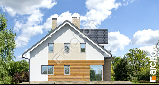 Дворовий фасад Будинок в тим'яні 5 (Т)