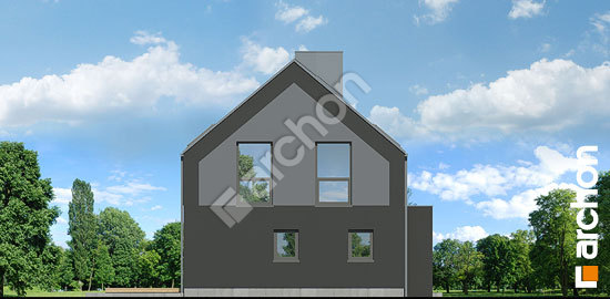 Боковой фасад Дом в малиновках 24