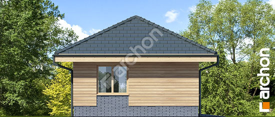 Бочний фасад Гаражний навіс В5