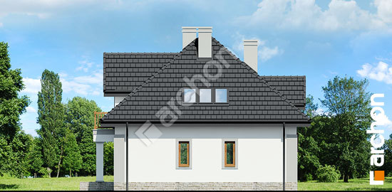 Бочний фасад Будинок в ехінацеях 3 вер.2