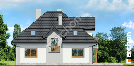 Дворовий фасад Будинок в ехінацеях 3 вер.2