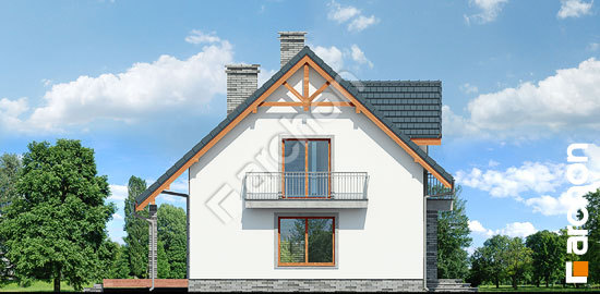 Боковой фасад Дом в люцерне 7