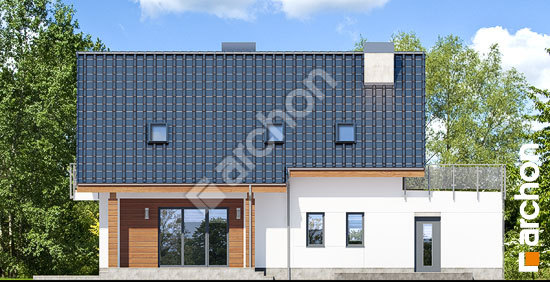 Дворовий фасад Будинок в яблонках 4 (ГТ)