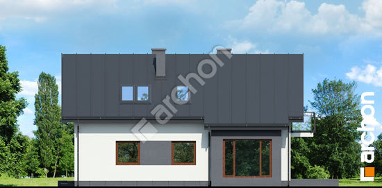 Бочний фасад Будинок в дельфініумі 4 вер. 2