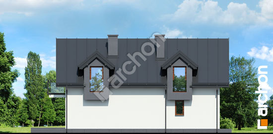 Боковой фасад Дом в дельфиниуме 4 вер. 2