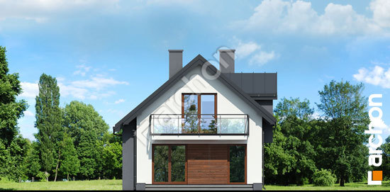 Дворовий фасад Будинок в дельфініумі 4 вер. 2