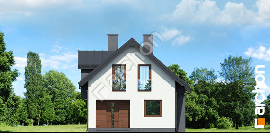 Передній фасад Будинок в дельфініумі 4 вер. 2