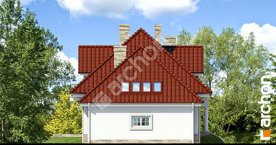 Боковой фасад Дом в каллах вер.2