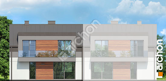 Дворовой фасад Дом в полыне 2 (СА)