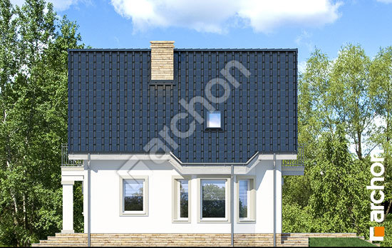 Боковой фасад Дом в винограде 2 (П)