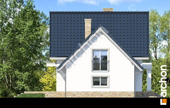 Боковой фасад Дом в винограде 2 (П)