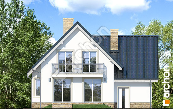 Дворовий фасад Будинок у винограді 2 (П)