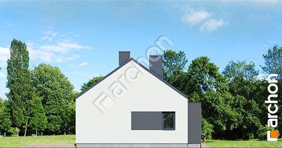 Бочний фасад Будинок в анемонах 3