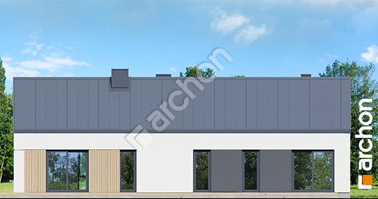 Дворовой фасад Дом в анемонах 3