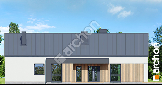 Передний фасад Дом в анемонах 3