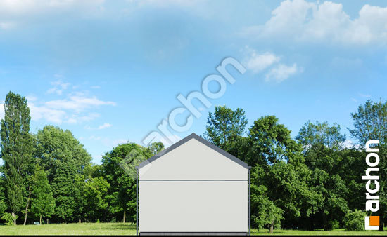 Дворовой фасад Г38 Хозяйственное здание