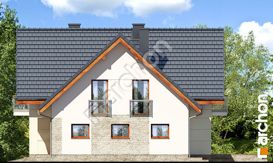 Боковой фасад Дом в малиновках 3