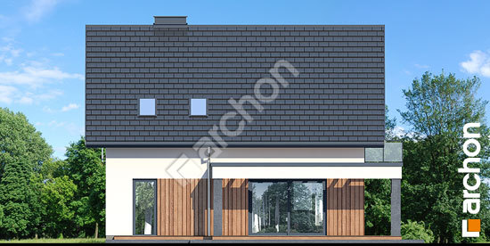 Дворовий фасад Будинок в нефрісах (Г)