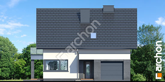 Передний фасад Дом в нефрисах (Г)