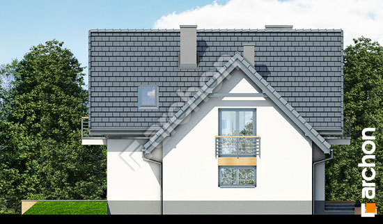 Бочний фасад Будинок під каштаном 3 (ПН)