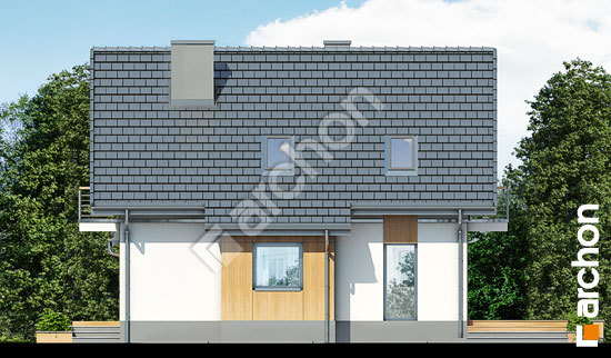 Боковой фасад Дом под каштаном 3 (ПН)