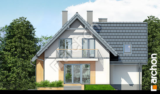 Дворовий фасад Будинок під каштаном 3 (ПН)