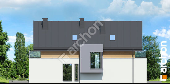 Боковой фасад Дом в морингах  вер.2