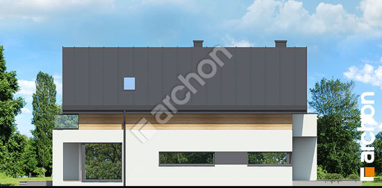 Боковой фасад Дом в морингах  вер.2