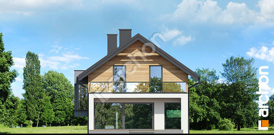 Дворовий фасад Будинок в морінгах вер.2