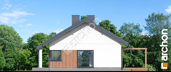 Боковой фасад Дом в лещиновнике 7