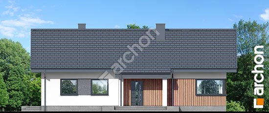 Передний фасад Дом в лещиновнике 7