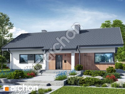 Проєкт будинку ARCHON+ Будинок в лещиновнику 7 