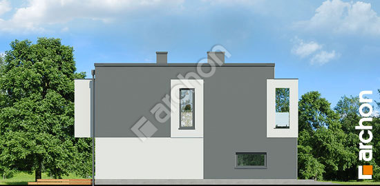 Боковой фасад Дом в клематисах 24