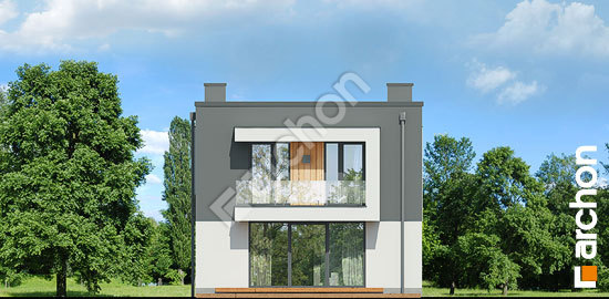 Дворовой фасад Дом в клематисах 24