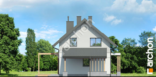 Бочний фасад Будинок в тритомах (А)