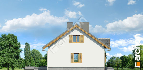 Боковой фасад Дом в ежевике 2 (ПД) вер. 2