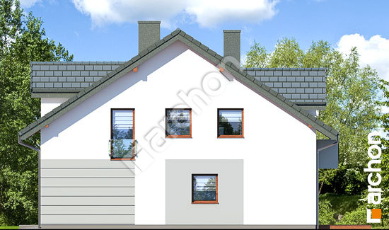 Бочний фасад Будинок під гінко 11 (ГР2)