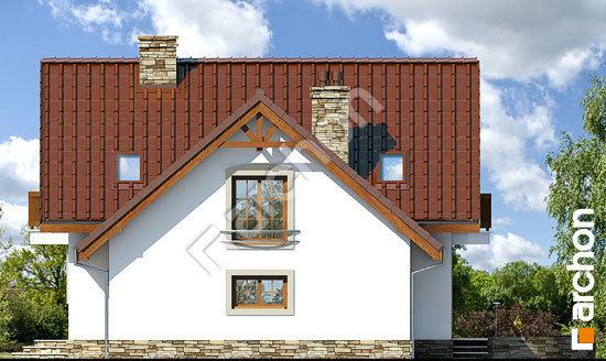 Бочний фасад Будинок в антонівці (ГПТ)