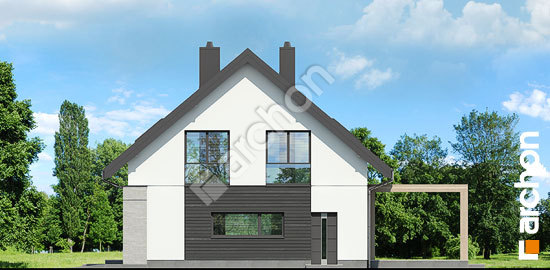 Бочний фасад Будинок у гвоздиках (Г2)