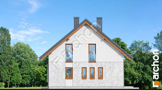 Боковой фасад Дом в изопируме 2