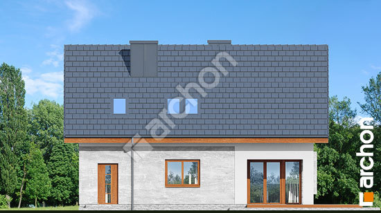 Дворовий фасад Будинок в ізопірумі 2