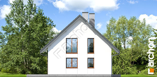 Бочний фасад Будинок в суниці 2 (Р2)