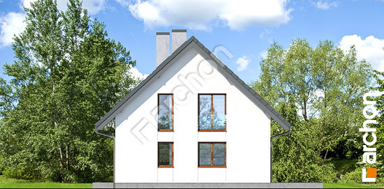 Бочний фасад Будинок в суниці 2 (Р2)