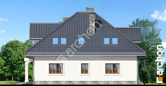 Бочний фасад Будинок в тим'яні 10 (П)